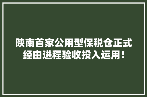 陕南首家公用型保税仓正式经由进程验收投入运用！