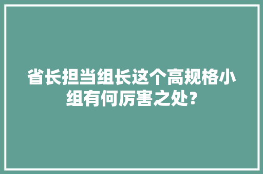 省长担当组长这个高规格小组有何厉害之处？