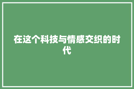 在这个科技与情感交织的时代