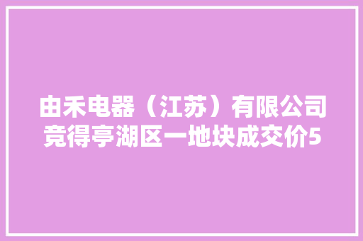 由禾电器（江苏）有限公司竞得亭湖区一地块成交价5775.06万元