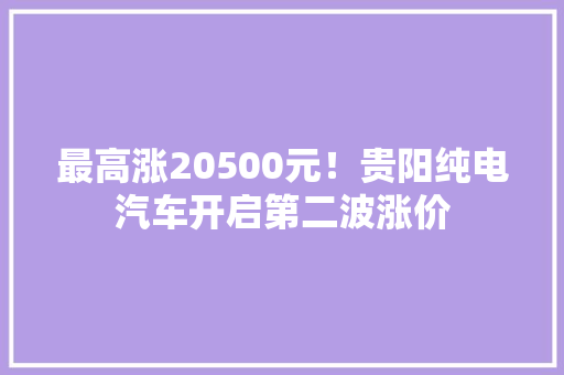 最高涨20500元！贵阳纯电汽车开启第二波涨价