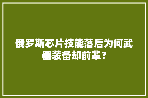 俄罗斯芯片技能落后为何武器装备却前辈？