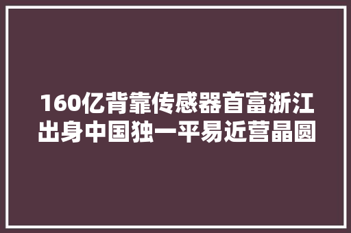 160亿背靠传感器首富浙江出身中国独一平易近营晶圆代工独角兽