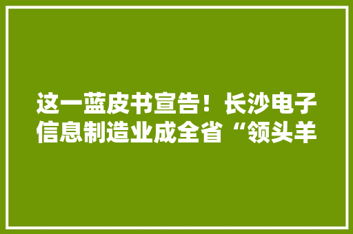 这一蓝皮书宣告！长沙电子信息制造业成全省“领头羊”