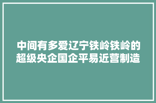 中间有多爱辽宁铁岭铁岭的超级央企国企平易近营制造业有多强