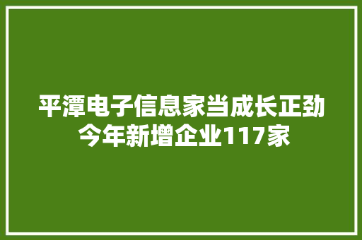 平潭电子信息家当成长正劲 今年新增企业117家