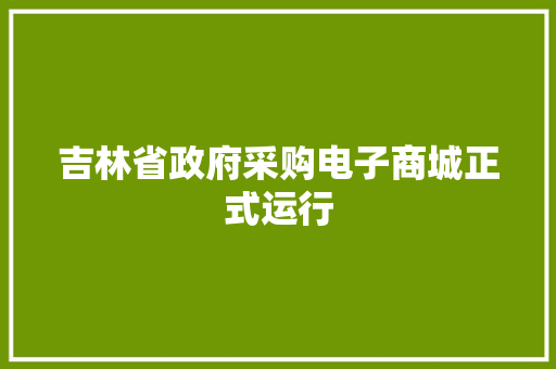 吉林省政府采购电子商城正式运行