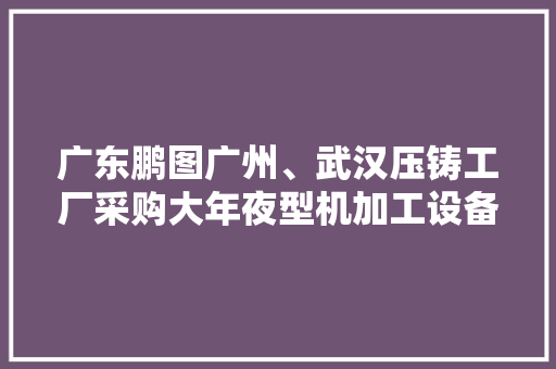 广东鹏图广州、武汉压铸工厂采购大年夜型机加工设备和检测设备