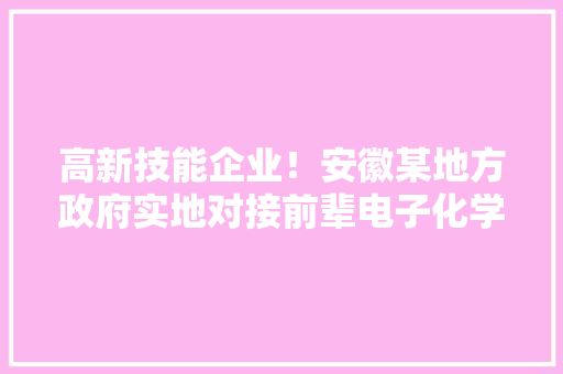 高新技能企业！安徽某地方政府实地对接前辈电子化学品扩建项目