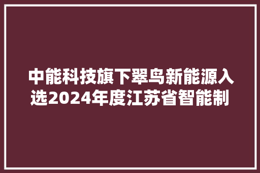 中能科技旗下翠鸟新能源入选2024年度江苏省智能制造工厂名单
