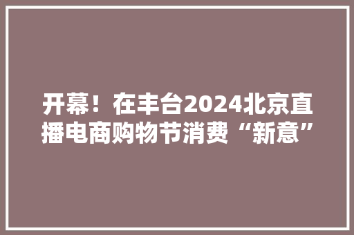 开幕！在丰台2024北京直播电商购物节消费“新意”足