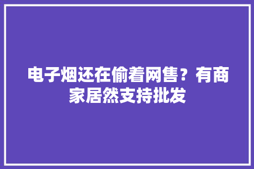 电子烟还在偷着网售？有商家居然支持批发