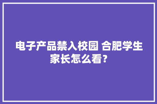 电子产品禁入校园 合肥学生家长怎么看？