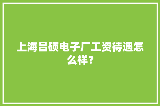 上海昌硕电子厂工资待遇怎么样？