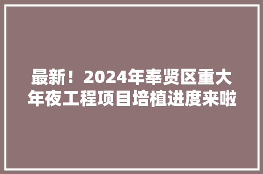 最新！2024年奉贤区重大年夜工程项目培植进度来啦→