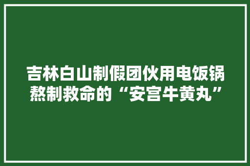 吉林白山制假团伙用电饭锅熬制救命的“安宫牛黄丸”