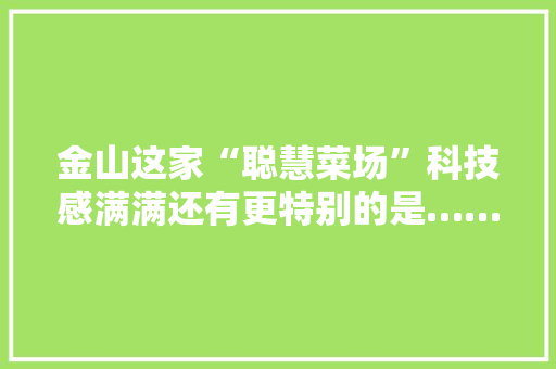 金山这家“聪慧菜场”科技感满满还有更特别的是……｜主题教诲