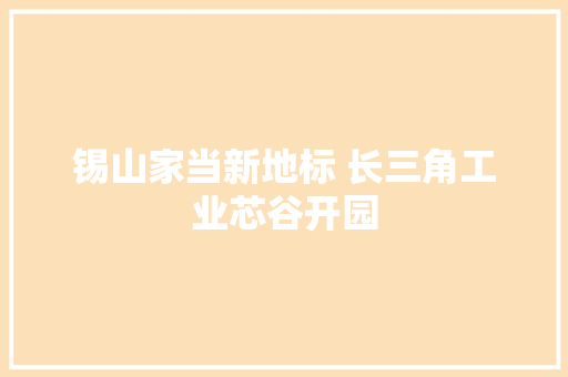 锡山家当新地标 长三角工业芯谷开园