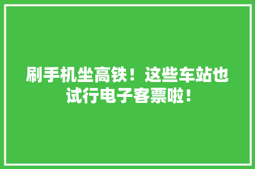 刷手机坐高铁！这些车站也试行电子客票啦！
