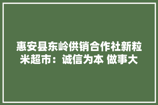 惠安县东岭供销合作社新粒米超市：诚信为本 做事大年夜众