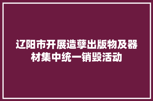 辽阳市开展造孽出版物及器材集中统一销毁活动
