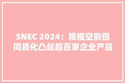 SNEC 2024：规模空前但同质化凸起超百家企业产品一览！