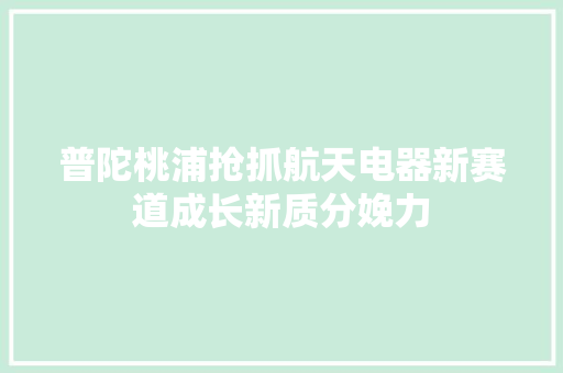普陀桃浦抢抓航天电器新赛道成长新质分娩力