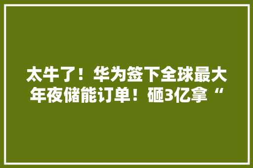 太牛了！华为签下全球最大年夜储能订单！砸3亿拿“巨无霸”地皮建厂！私募大年夜佬但斌急了
