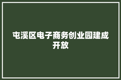 屯溪区电子商务创业园建成开放