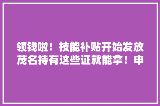 领钱啦！技能补贴开始发放茂名持有这些证就能拿！申领办法看这