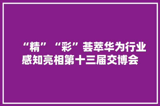 “精”“彩”荟萃华为行业感知亮相第十三届交博会
