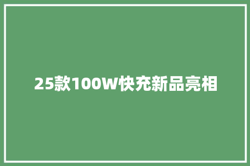 25款100W快充新品亮相