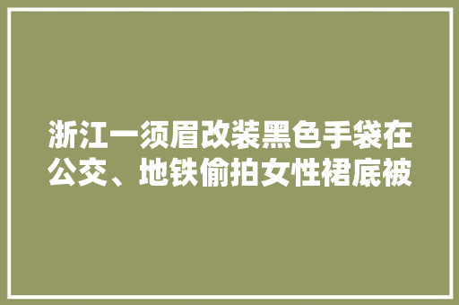 浙江一须眉改装黑色手袋在公交、地铁偷拍女性裙底被拘9日