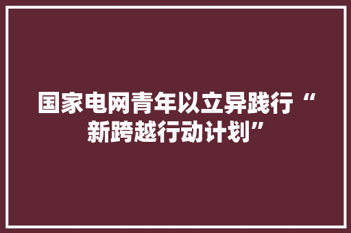 国家电网青年以立异践行“新跨越行动计划”