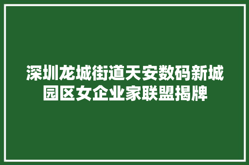 深圳龙城街道天安数码新城园区女企业家联盟揭牌