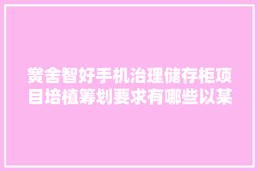 黉舍智好手机治理储存柜项目培植筹划要求有哪些以某校为例