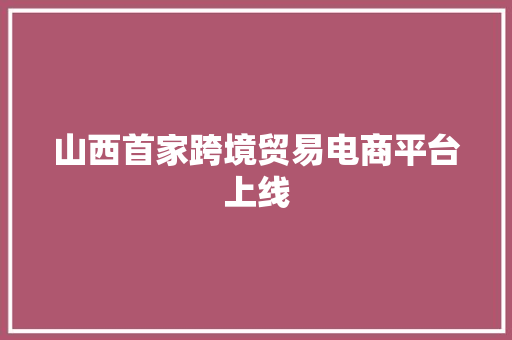 山西首家跨境贸易电商平台上线
