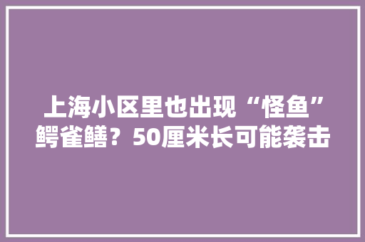 上海小区里也出现“怪鱼”鳄雀鳝？50厘米长可能袭击人……