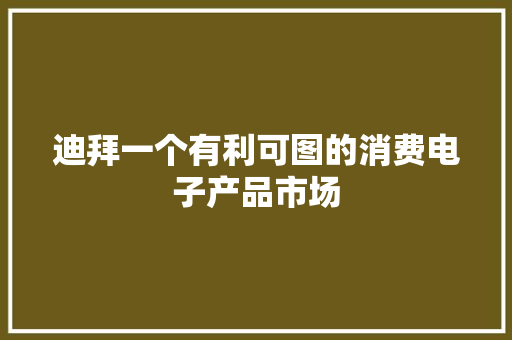 迪拜一个有利可图的消费电子产品市场
