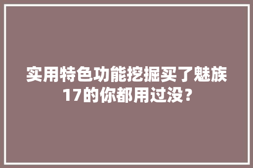 实用特色功能挖掘买了魅族17的你都用过没？