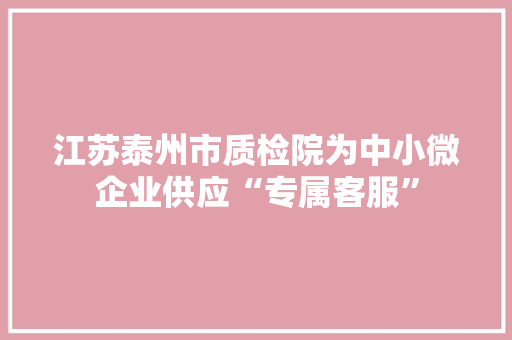 江苏泰州市质检院为中小微企业供应“专属客服”