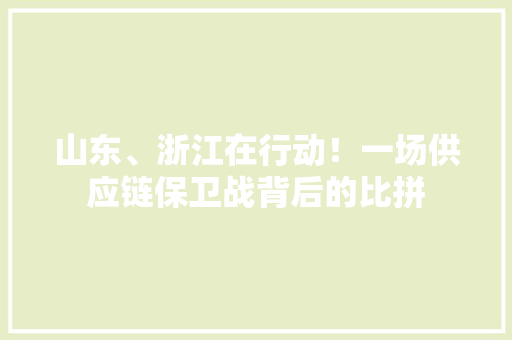 山东、浙江在行动！一场供应链保卫战背后的比拼