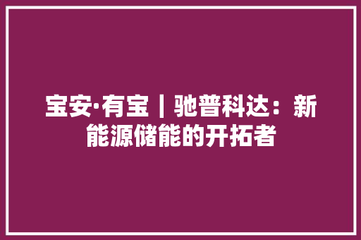 宝安·有宝｜驰普科达：新能源储能的开拓者