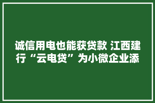 诚信用电也能获贷款 江西建行“云电贷”为小微企业添活力