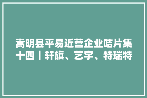 嵩明县平易近营企业咭片集十四｜轩旗、艺宇、特瑞特