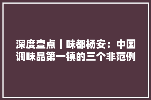 深度壹点｜味都杨安：中国调味品第一镇的三个非范例片段