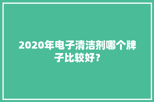 2020年电子清洁剂哪个牌子比较好？