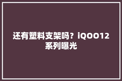 还有塑料支架吗？iQOO12系列曝光