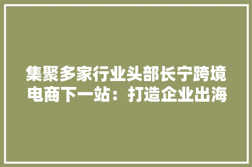 集聚多家行业头部长宁跨境电商下一站：打造企业出海总部集聚区