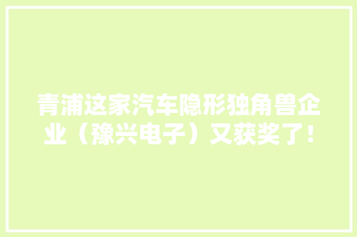 青浦这家汽车隐形独角兽企业（豫兴电子）又获奖了！